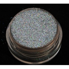 Glitter Silver